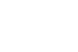 ZZ Architects
